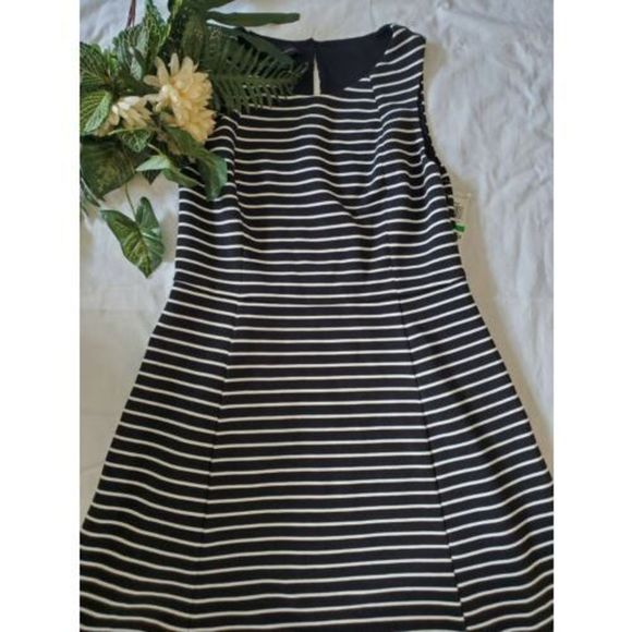 NWT International Concepts Black White Striped Sleeveless A Line Dress SZ L Larg - Picture 1 of 7